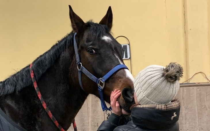 Zbiórka Pomóż Estebanowi stanąć na nogi - zdjęcie główne