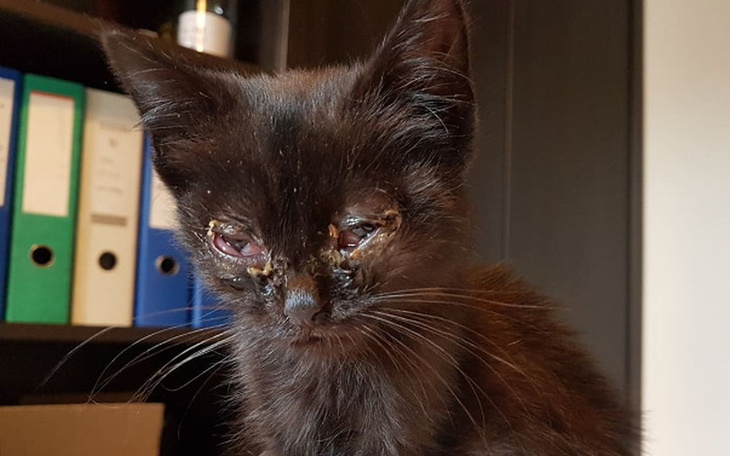 Zbiórka Zdążyliśmy w ostatniej chwili - zdjęcie główne