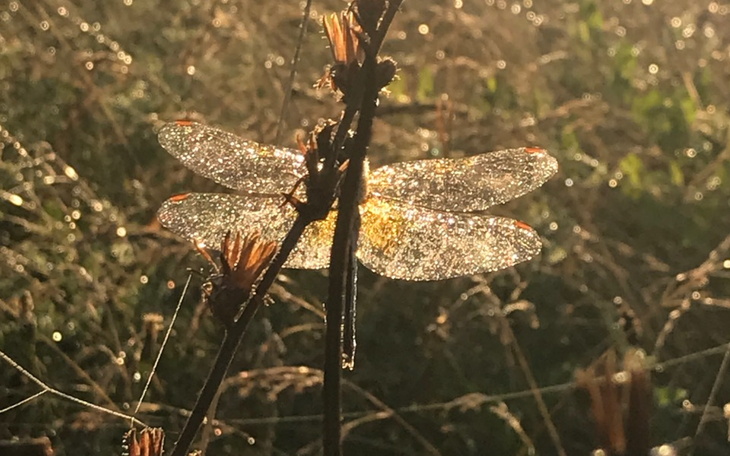 Zbiórka Wyjście z problemów zacząć od n - zdjęcie główne