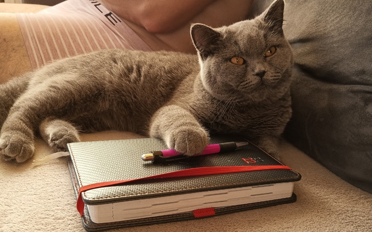 Zbiórka Pomóżcie mi uratować życie Pusia - zdjęcie główne