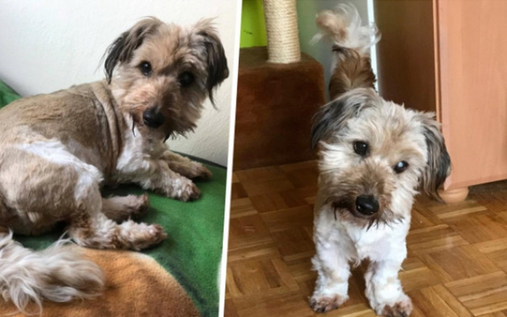 Zbiórka Dziadulek i jego chore serduszko - zdjęcie główne