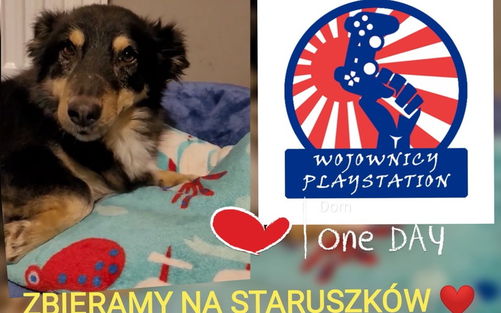 Zbiórka Ostatnia Przystań - Pomagamy - zdjęcie główne