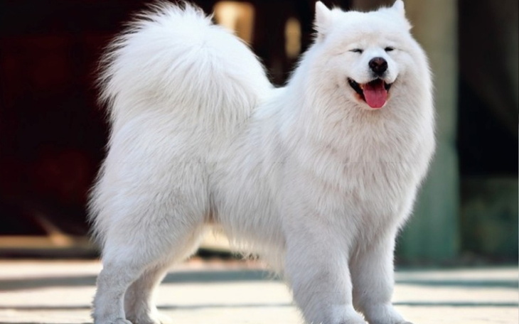 Zbiórka Prywatna sprawa - zdjęcie główne