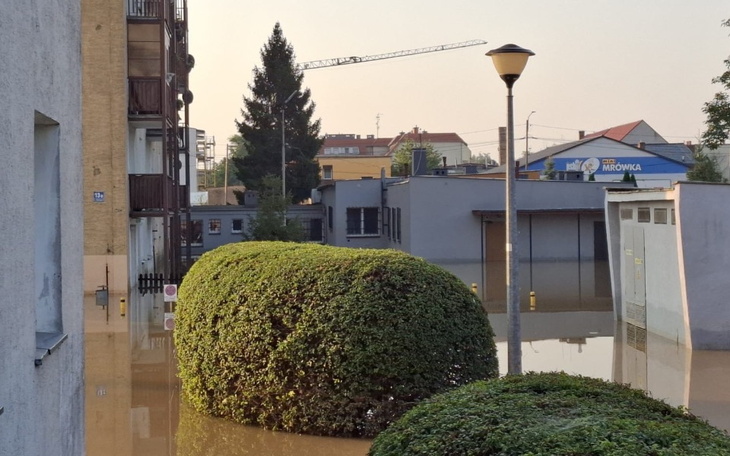 Zbiórka Pomóżcie uratować dom i biznes - zdjęcie główne