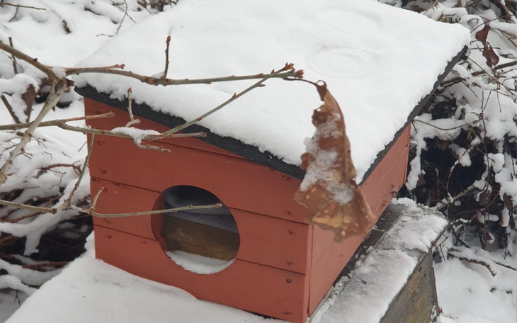 Budka dla ptaków pokryta śniegiem, z opadającym liściem.