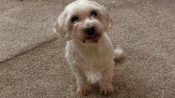 Zbiórka Przywróćmy to życie - miniaturka zdjęcia