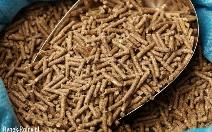 Zbiórka Koniec zbiórki .. - zdjęcie główne