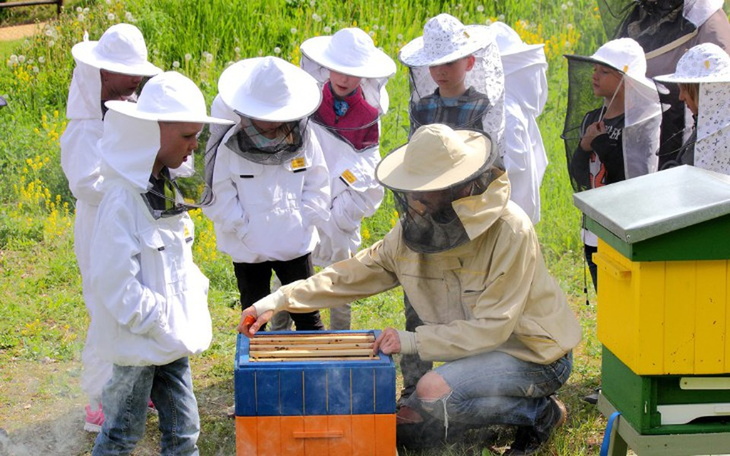 Zbiórka Pszczeli Raj życie pszczół - zdjęcie główne