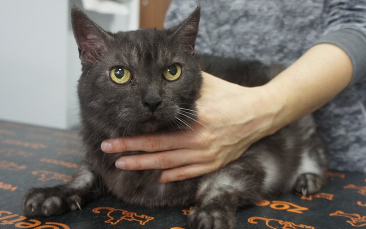 Zbiórka Za stara, by pokochać - zdjęcie główne