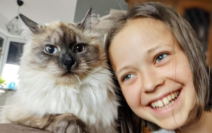 Zbiórka Ratujemy kocie życie Leona - zdjęcie główne