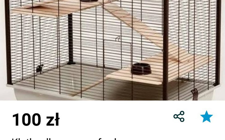 Zbiórka Klatka dla szczura z adopci - zdjęcie główne