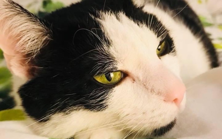 Zbiórka Leczenie Rolki - zdjęcie główne