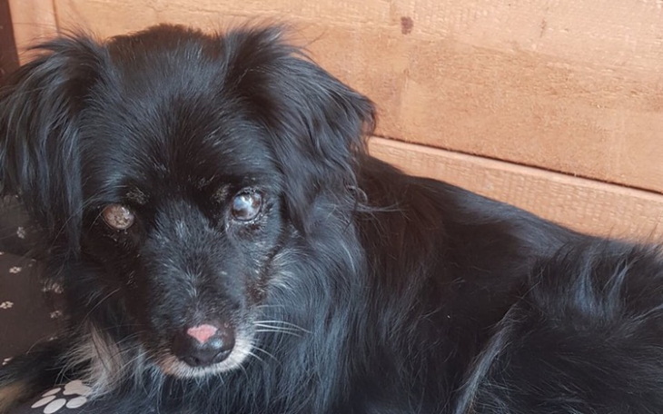 Zbiórka Uwolnić od bólu, pokazać świat. - zdjęcie główne