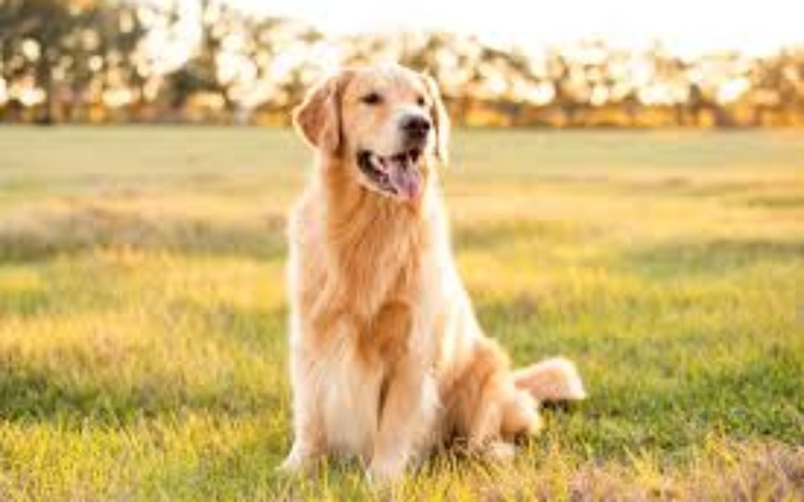 Zbiórka Odbudowa życia i przyszłość - zdjęcie główne