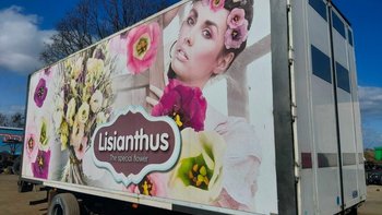 Zbiórka Chłodnia na warzywa i owoce - miniaturka zdjęcia