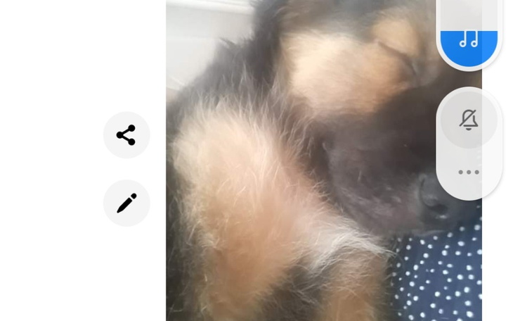 Zbiórka Na leczenie i nowy początek życi - zdjęcie główne