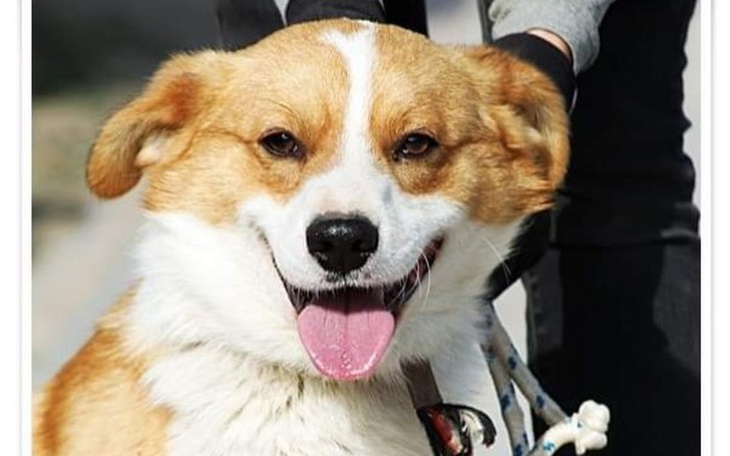 Zbiórka Na transport i dobry początek - zdjęcie główne