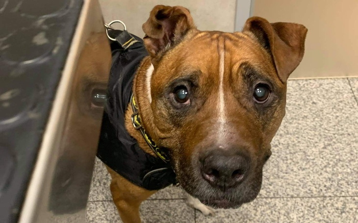 Zbiórka Na życie bez bólu - Cover - zdjęcie główne