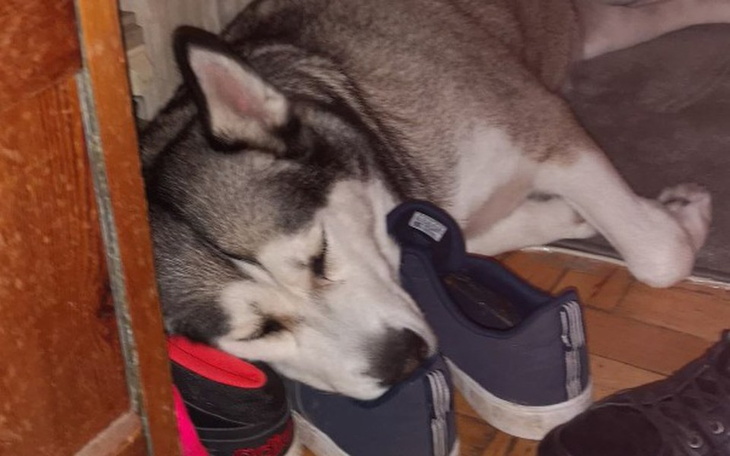 Zbiórka Juka - zdjęcie główne