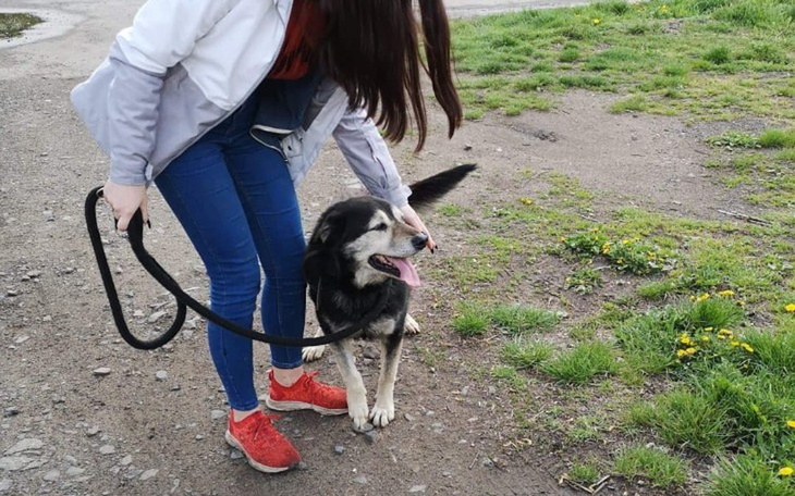 Zbiórka Sprzęt Dla Bezdomniaczków - zdjęcie główne