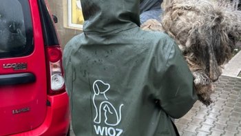 Zbiórka PALIWO na życie psów. - miniaturka zdjęcia