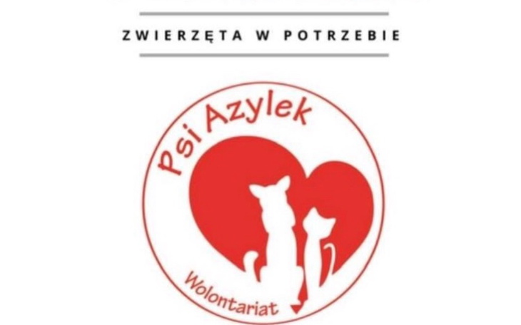 Zbiórka Zwierzęta w potrzebie-Azylek Psi - zdjęcie główne