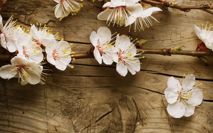 Zbiórka Na laptopa - zdjęcie główne