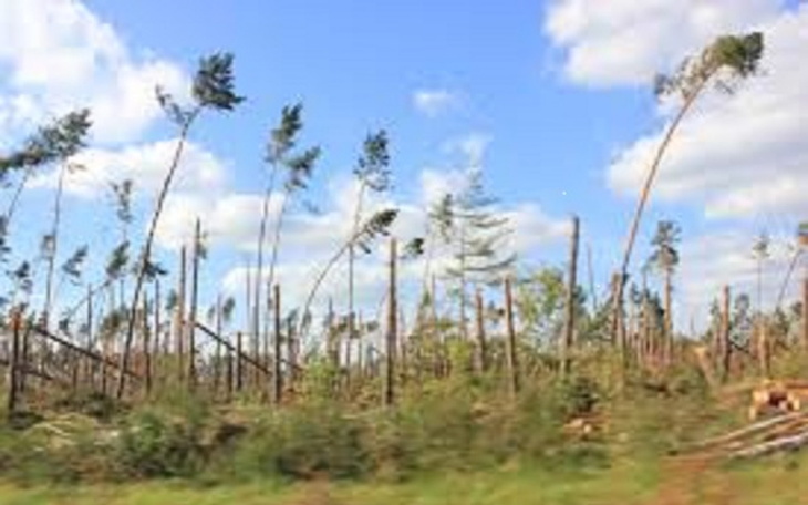 Zbiórka wakacje - OBÓZ - 2024 - zdjęcie główne