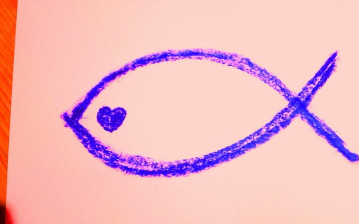 Zbiórka ryba - zdjęcie główne