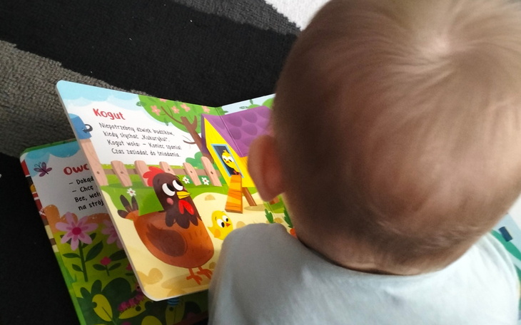 Dziecko czyta książkę z ilustracjami zwierząt, skupione na treści.