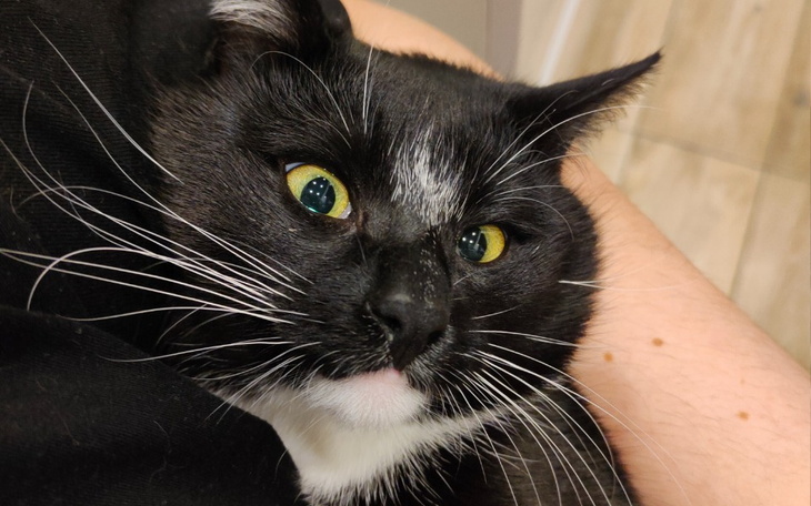 Zbiórka Na leczenie ząbków Sola - zdjęcie główne