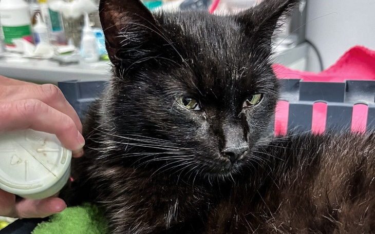 Zbiórka Patrzyła na śmierć dziecka - zdjęcie główne