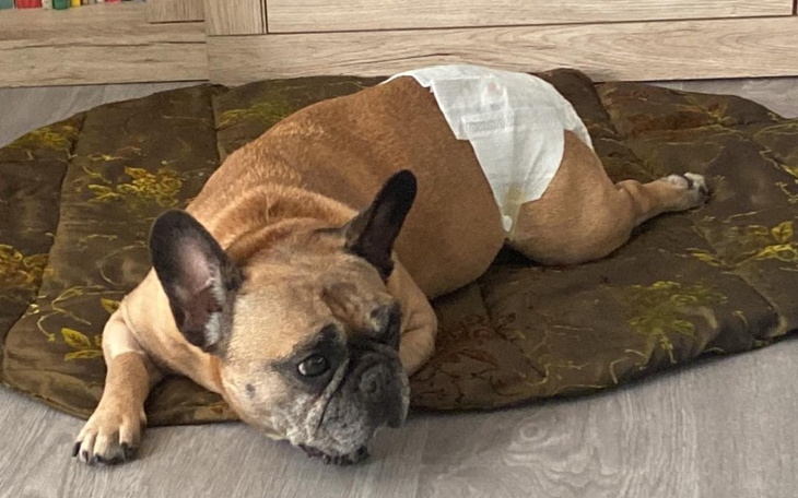 Zbiórka Masza i jej kręgosłup - zdjęcie główne