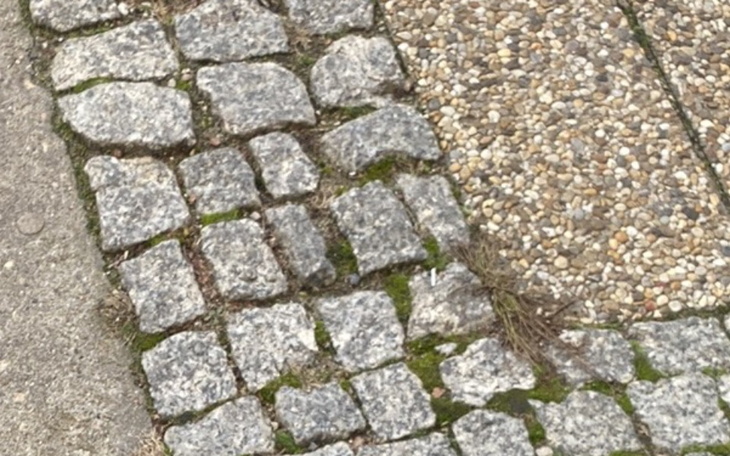 Zbiórka Zbieram namieszkanie - zdjęcie główne