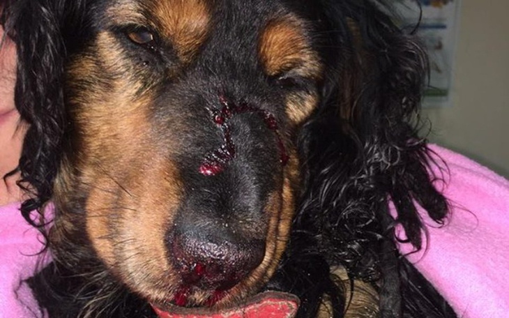 Zbiórka Czekał na śmierć... - zdjęcie główne