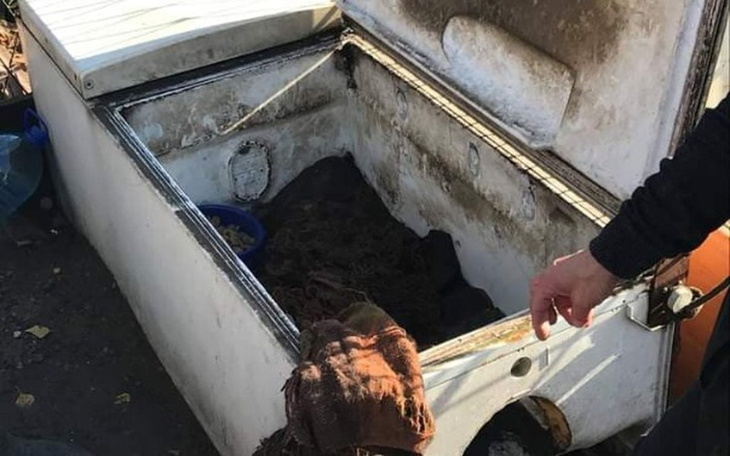 Zbiórka Psy z lodówki... - zdjęcie główne