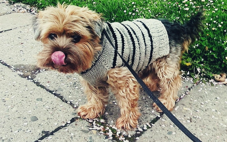 Zbiórka Dla Filusia - zdjęcie główne