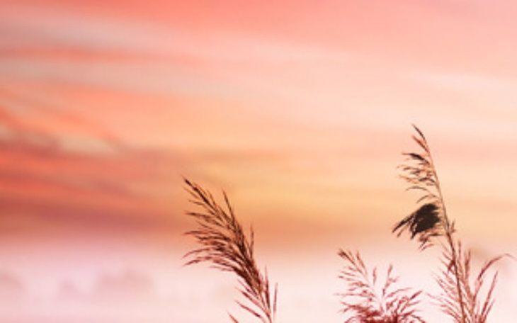 Zbiórka pomoc dla moich dzieci na swieta - zdjęcie główne