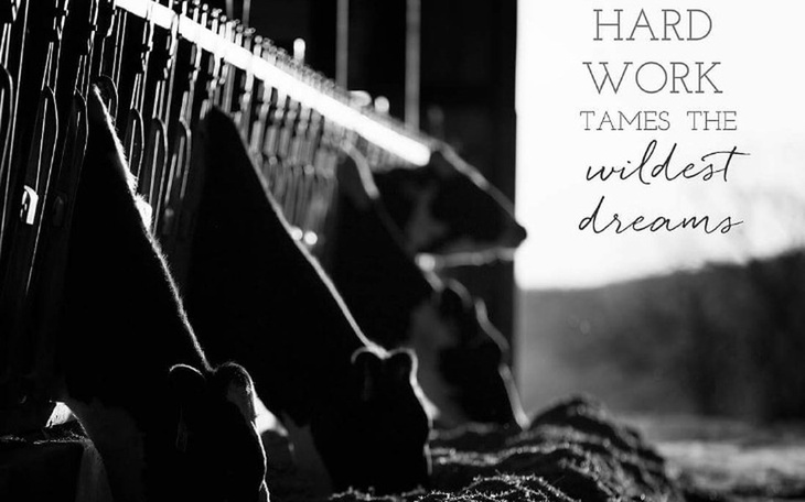 Zbiórka Pomoc od Widzów - zdjęcie główne