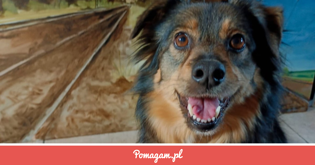 Pomuz Zrzutka na Pomóż Dori Wrócić do Zdrowia - Julia Małecka | Pomagam.pl