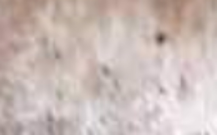 Zbiórka Dla kochanego pieska - zdjęcie główne