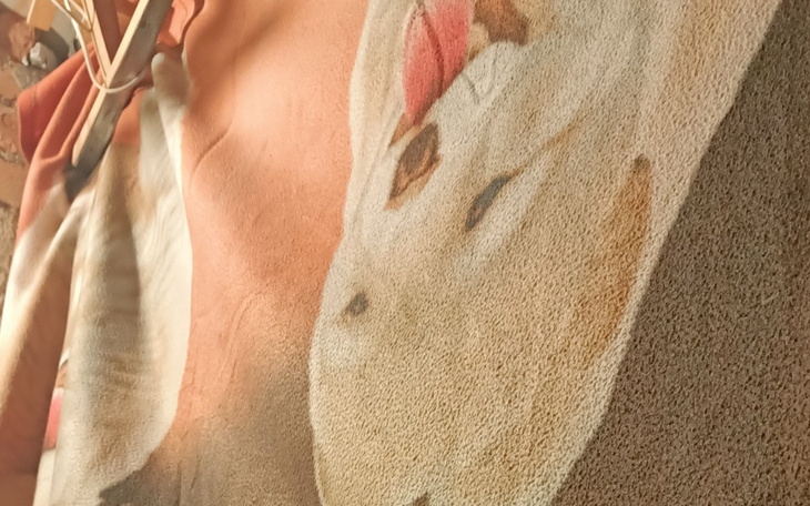 Zbiórka Remont piwnicy wojciecha - zdjęcie główne