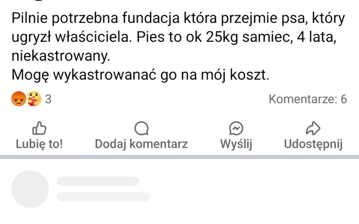 Post na Facebooku o potrzebie adopcji psa.