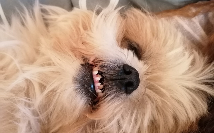 Zbiórka Ratowanie oka Tymona. - zdjęcie główne