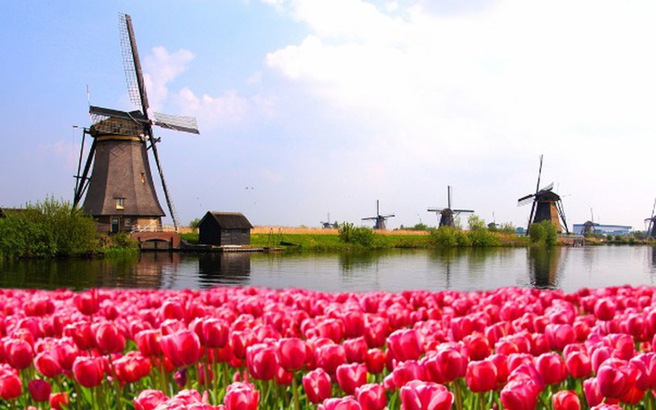 Zbiórka Wyjazd do Hollandi - zdjęcie główne