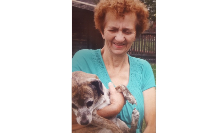 Zbiórka Asystent dla osoby niewidomej - zdjęcie główne