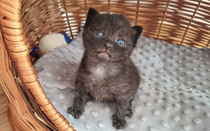 Zbiórka Czy to musi być wyrok - zdjęcie główne