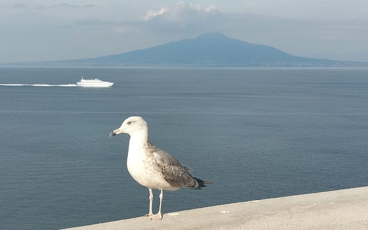 Zbiórka Rehabilitacja Inwalidztwo - zdjęcie główne