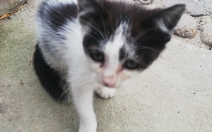 Zbiórka Wybrnąć z dołka - zdjęcie główne