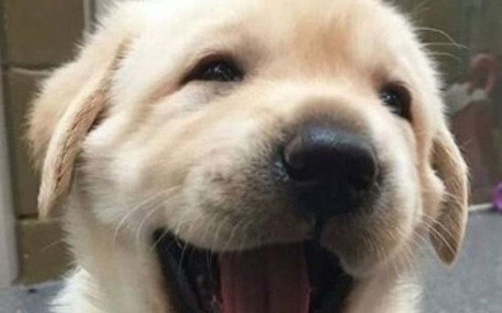 Zbiórka Mam bardzo dobry plan - zdjęcie główne